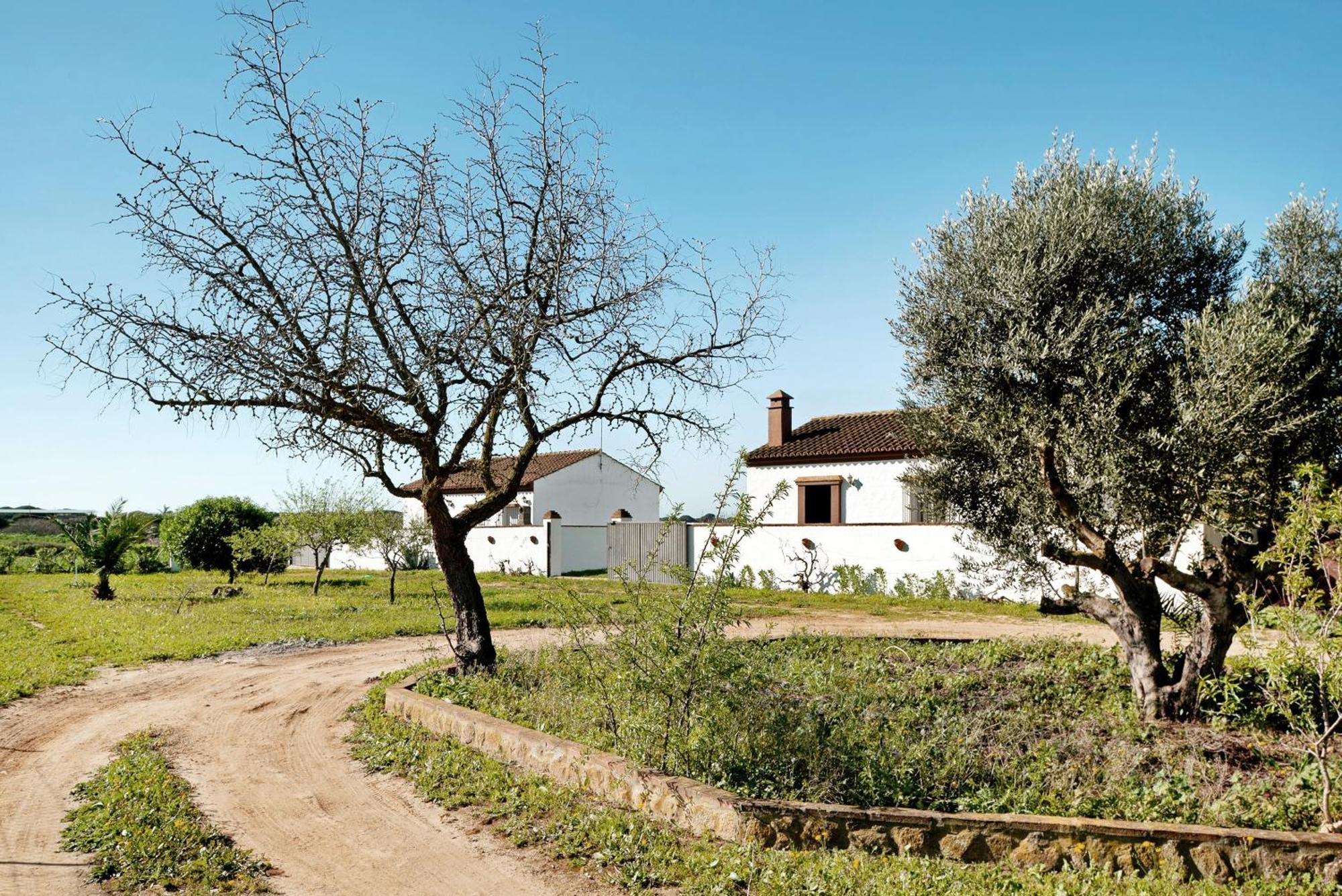 Las Calas De Roche Exterior photo